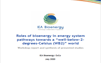 New Publication – Roles of bioenergy in energy system pathways towards a “well-below-2-degrees-Celsius (WB2)” world