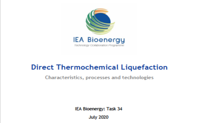 New Publication – Direct Thermochemical Liquefaction of biomass – Characteristics, processes and technologies