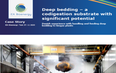 New Publication – Case story: Deep bedding: a co-digestion substrate with significant potential (Denmark)