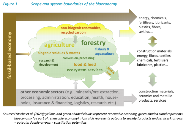 Sustainability governance of bioenergy and the broader bioeconomy ...