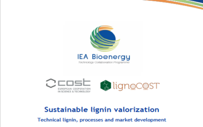 Sustainable lignin valorization