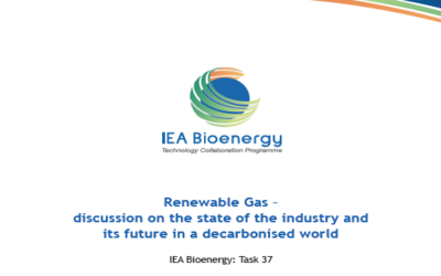 Renewable Gas – discussion on the state of the industry and its future in a decarbonised world