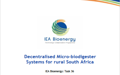 Decentralized micro-biodigester systems for rural areas in South Africa