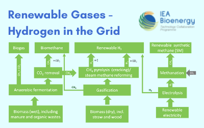 Renewable Gases – Hydrogen in the Grid