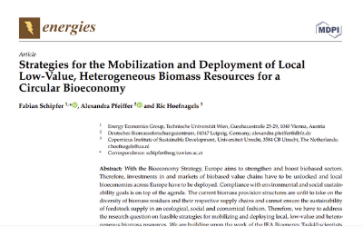 Strategies for the mobilization and deployment of local low-value, heterogeneous biomass resources for a circular bioeconomy
