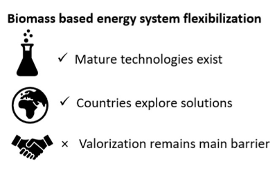 Status of and expectations for flexible bioenergy to support resource efficiency and to accelerate the energy transition