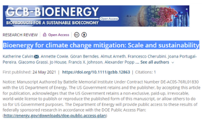 Bioenergy for climate change mitigation: Scale and sustainability