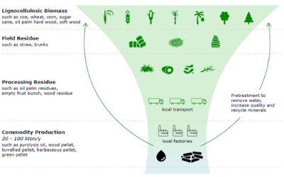To be or not to be a biobased commodity