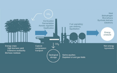 Position Paper – Sustainable Natural Gas production through gasification