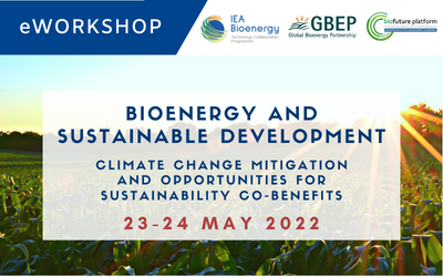 WS27: Bioenergy and Sustainable Development – Climate Change Mitigation and Opportunities for Sustainability Co-Benefits