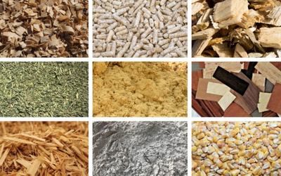 Industrial end-users’ preferred characteristics for wood biomass feedstocks