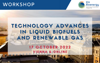 WS28: Technology advances in liquid biofuels and renewable gas