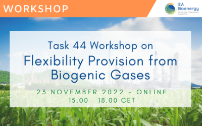 IEA Bioenergy Task 44 Workshop – Flexibility Provision from Biogenic Gases