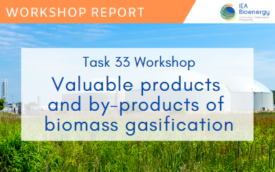 Valuable products and by-products of biomass gasification – Task 33 Workshop, Vienna 19 October 2022