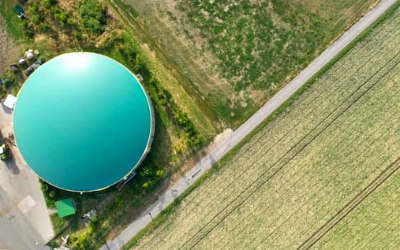 Position Paper – The role of biogas and biomethane in pathways to net zero