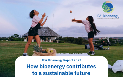 Press Release – How bioenergy contributes to a sustainable future