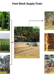 Feed Stock Supply Chain