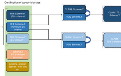 Approaches to sustainability compliance and verification for forest biomass