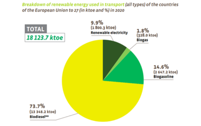 Biofuels production and development in the European Union