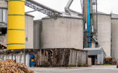 Sustainable biomass supply chains for international markets
