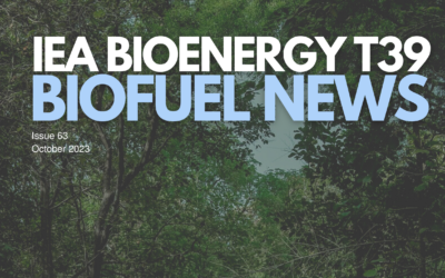 Biofuels production and development in China
