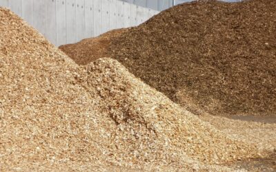 Key quality characteristics of woody biomass for bioenergy application: an international review