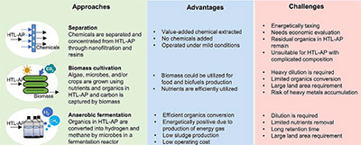 Production of chemicals and materials from direct thermochemical liquefaction
