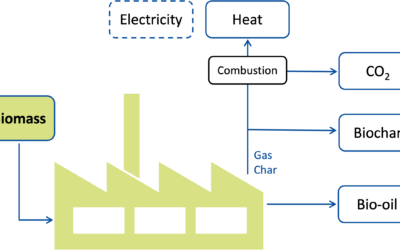 Direct Thermochemical Liquefaction (DTL) Technology Options for Bioenergy Carbon Capture and Storage (BECCS)