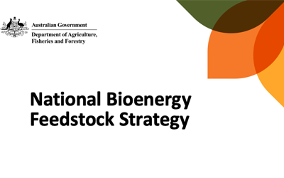 New Strategy to Support Australia’s Bioenergy Feedstock Strategy