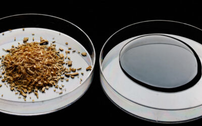 Commercial Status of Direct Thermochemical Liquefaction Technologies